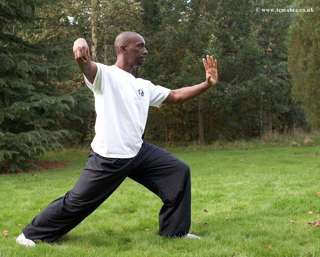 chinese martial arts in Reading