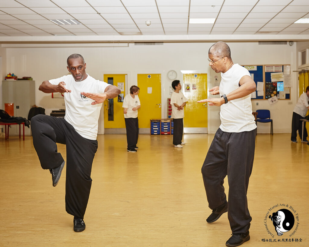 Tai Chi class private lesson